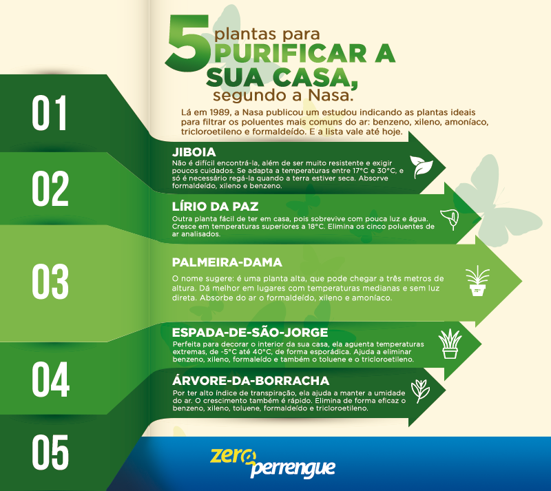 INFOGRÁFICO-PLANTAS