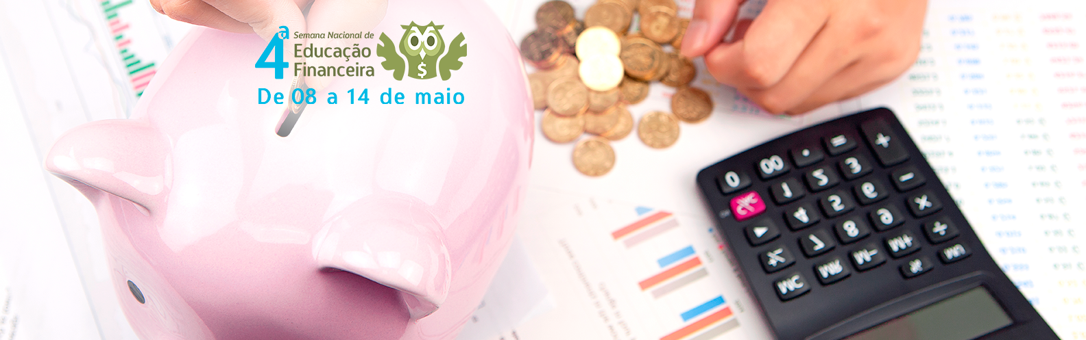 Como a educação financeira pode contribuir para seu negócio