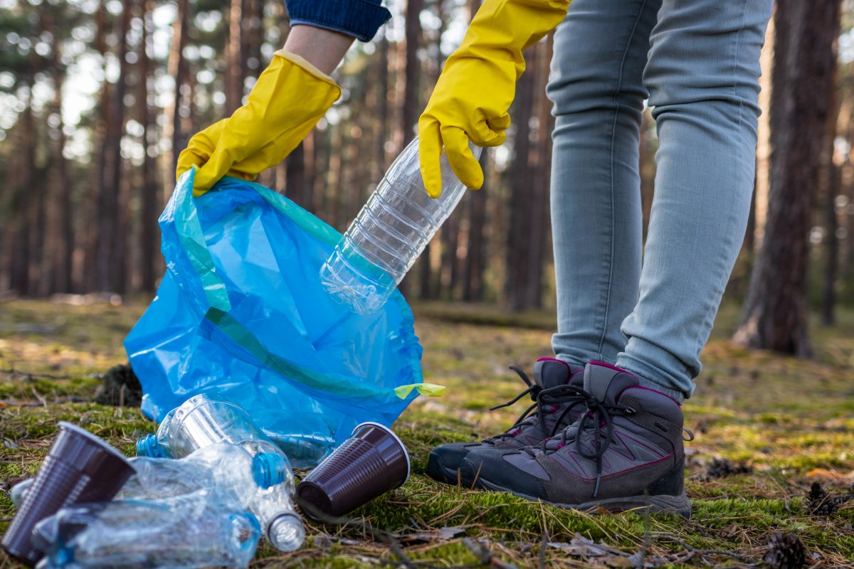 Bora ter uma pegada mais ecológica em 2020?